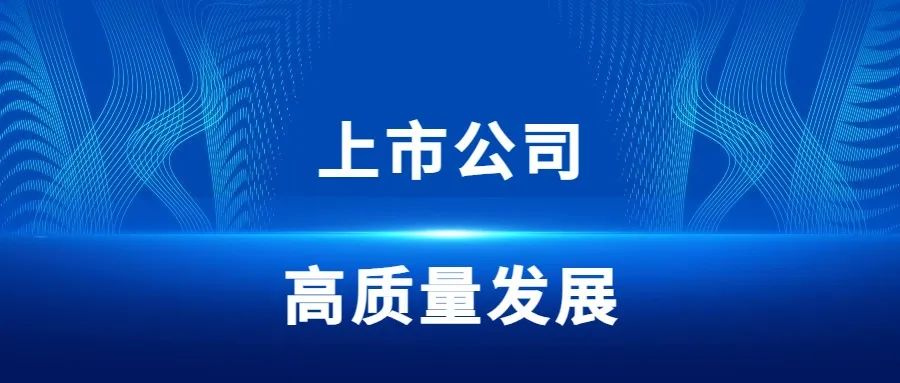 上海市副市长解冬一行莅临必博bibo技术调研｜共话上市公司高质量发展新篇章